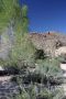 13JoshuaTree - 24